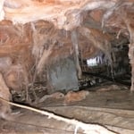 Fallen Insulation