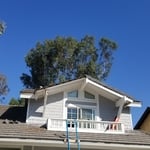 Damaged fascia