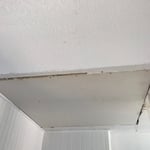 Ceiling damage