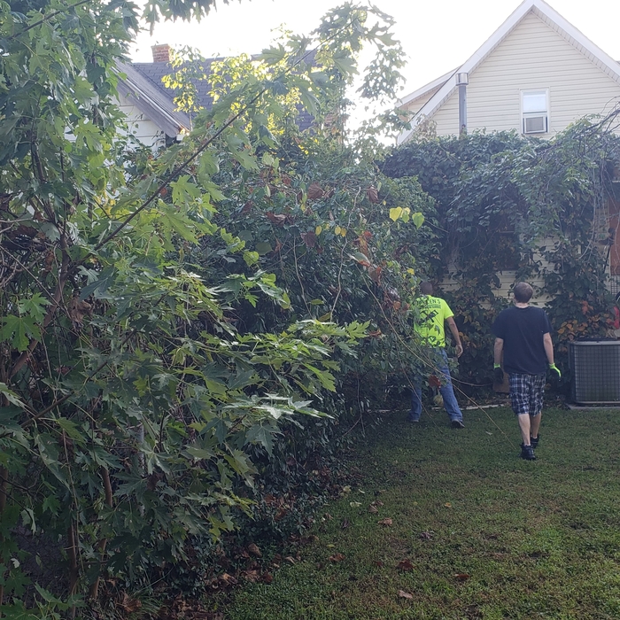 Cleaning off fence line