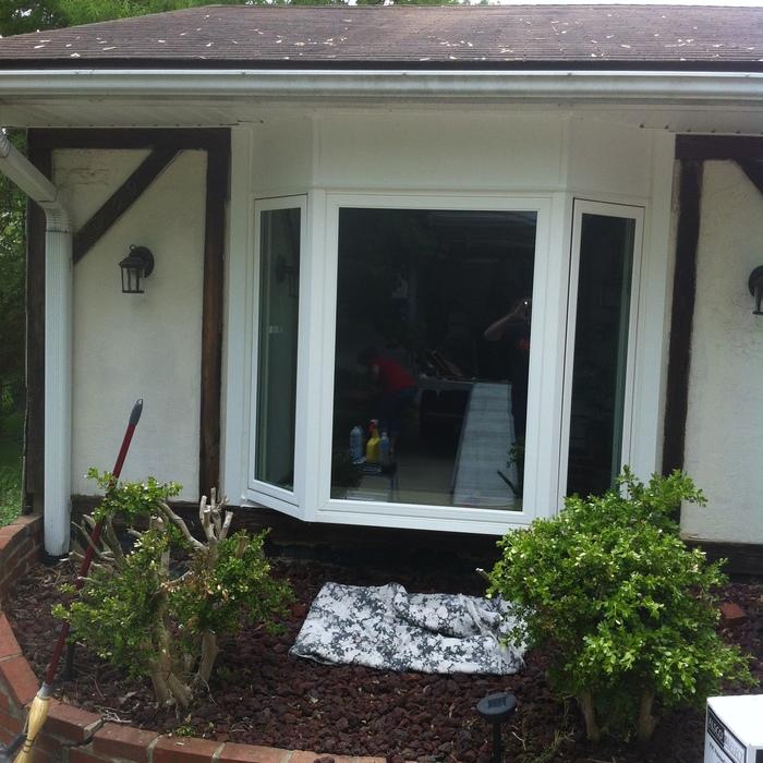 See-Thru Windows | Coley After
