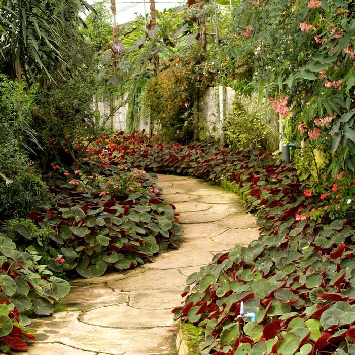 Landscape Project