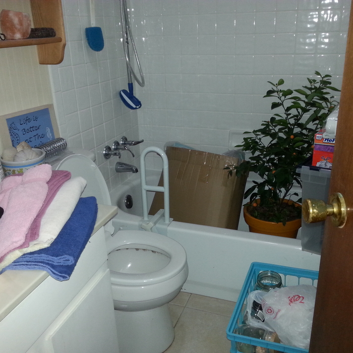 Home Organizing