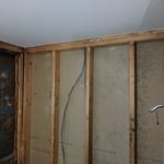 mold on original framing and drywall