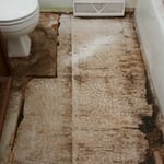 original sub floor, water damage