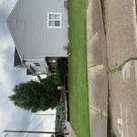 Reed ave