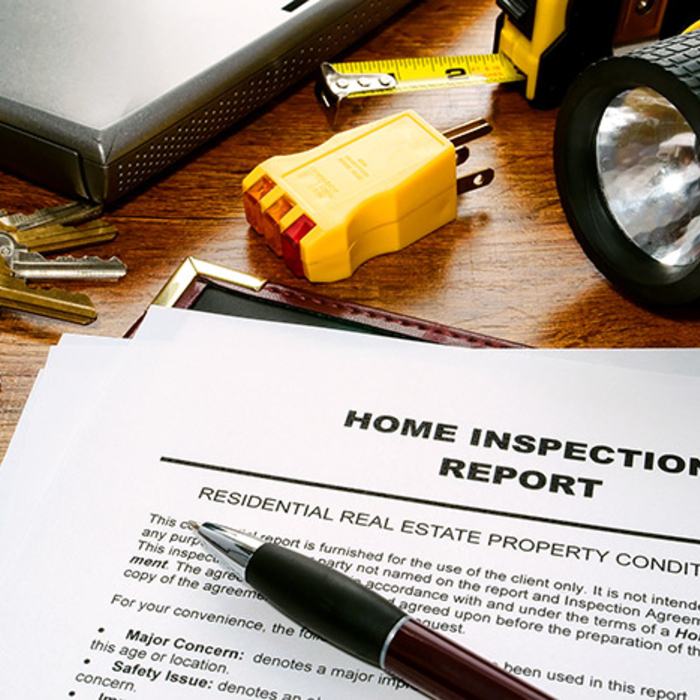 Inspection Reports