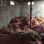 Hazardous Clean-out