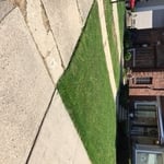 Customers lawn