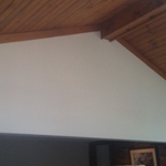 Interior paint