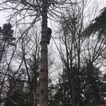 Climbing