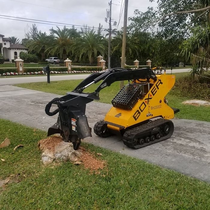 Stump Grinding