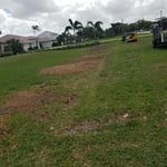 Stump Grinding