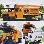 Tree removals and pruning