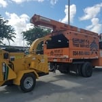 Tree removals and pruning