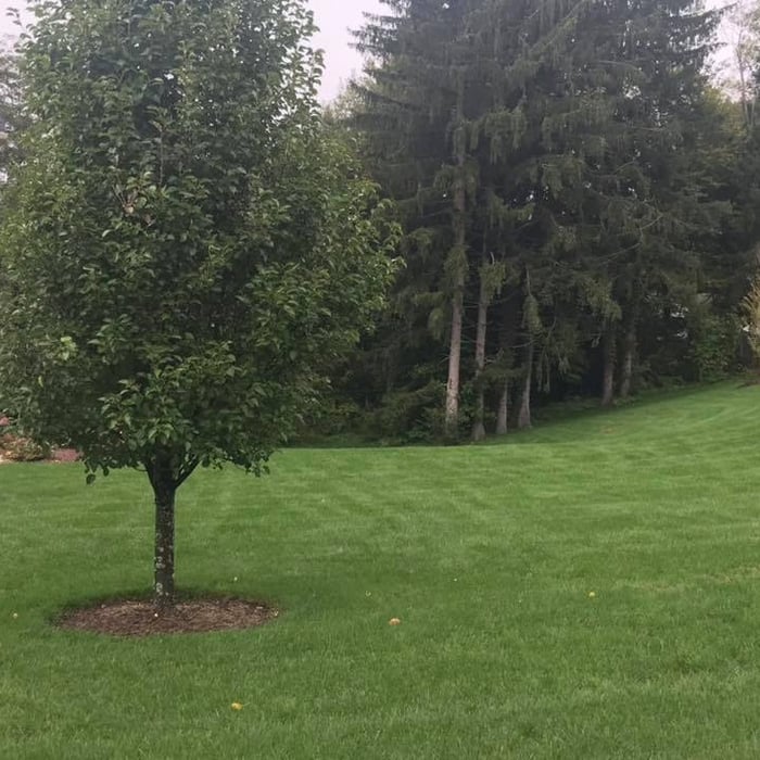 2018 Customer