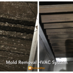 Mold Mitigation HVAC System