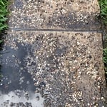 Lahrssen sidewalk