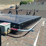 Solor Bird Exclusion