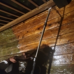Mold on Decks