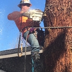 Getting it done