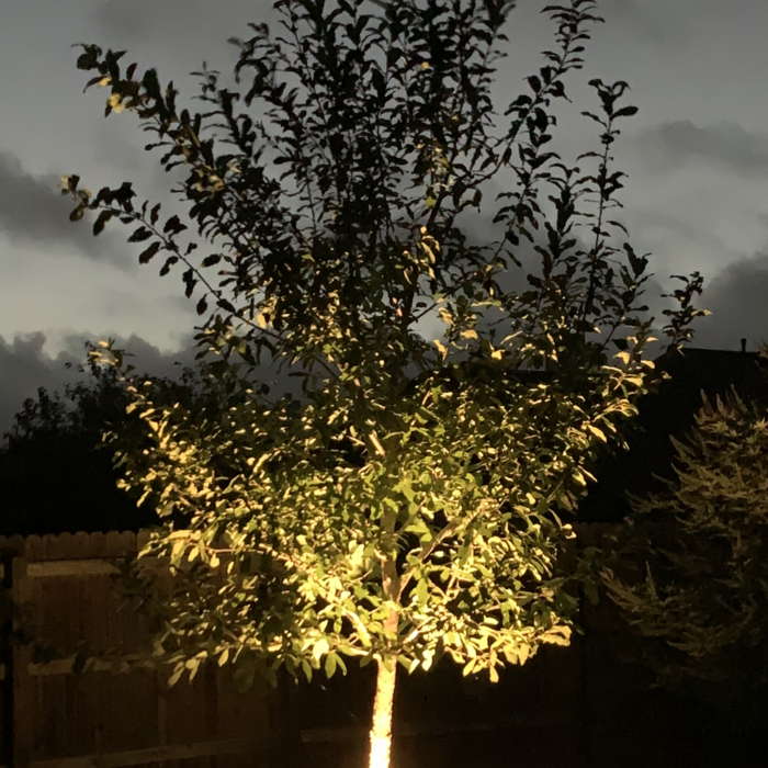 Tree Accent Light - Low Voltage Lighting