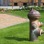 Lawn Care