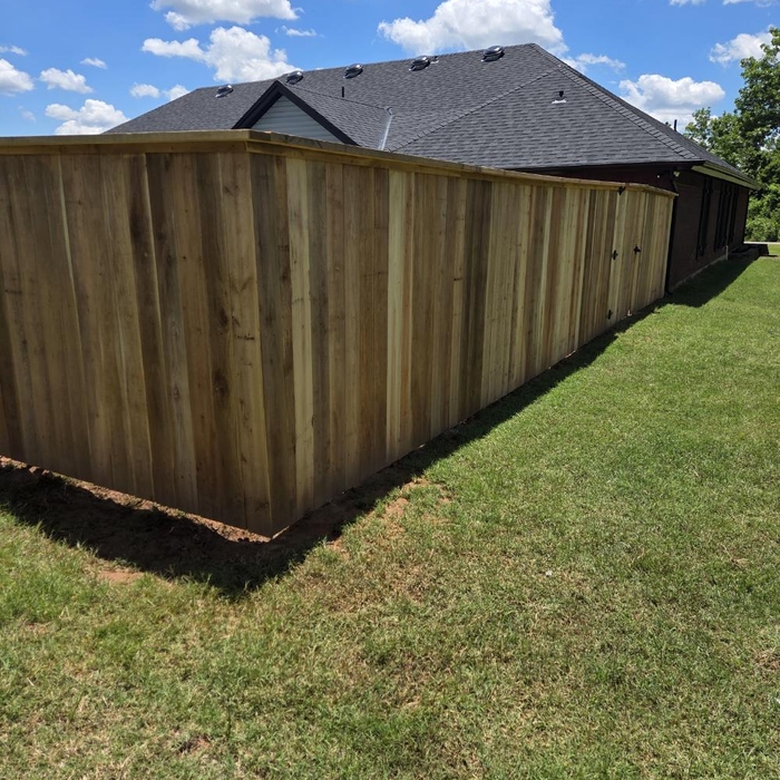 Cedar
