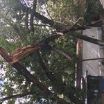 Emergency storm work
