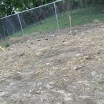 Junk Removal