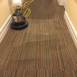 Commercial Carpet Cleaning