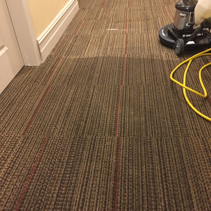 Commercial Carpet Cleaning