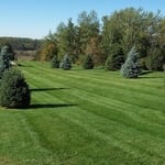 Lawn Care