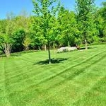 Lawn Care