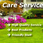 Lawn Care