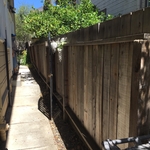 Redwood Fence