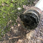 Clogged bathroom sink drain