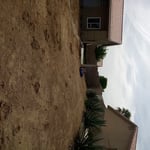 Bare Dirt