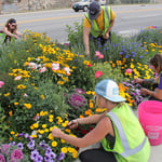 Flower Planting