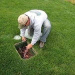 Irrigation Repair