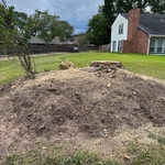 Stump