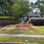 Stump grinding