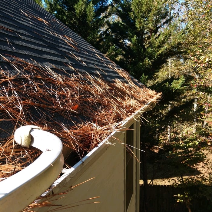 Gutters suffering from neglect? Call us!