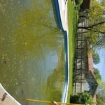 Swampy Clean up Service