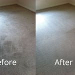 Deep carpet cleaning