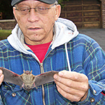 Catching a bat