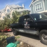 Bluffton brush removal