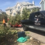Brush removal