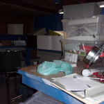 Madrona Basement