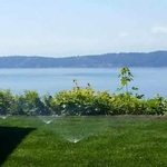 new sod and irrigation